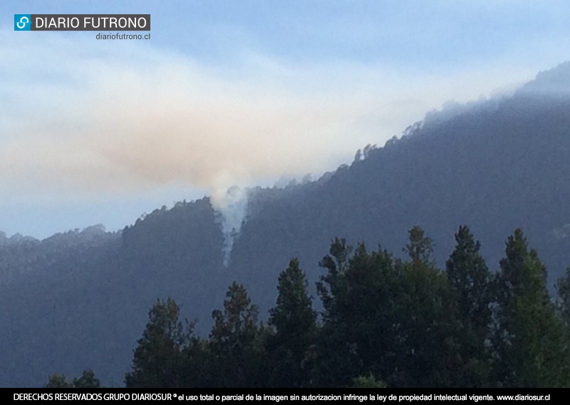 Incendio forestal destruye bosque nativo en sector de difícil acceso en la ribera del lago Maihue
