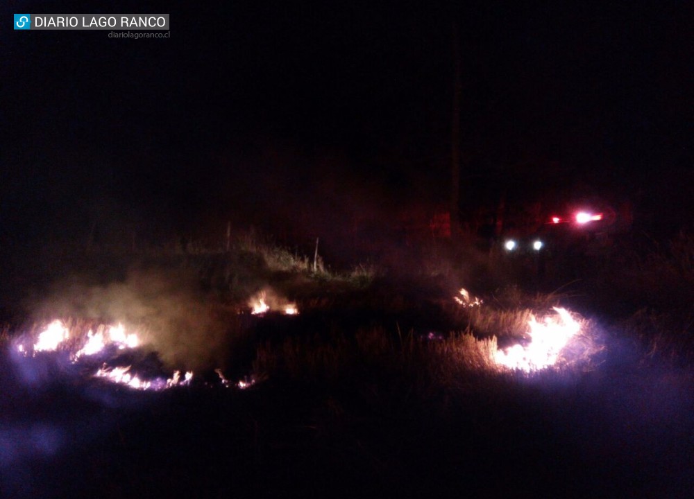 Lago Ranco: Bomberos controló incendio de pastizales en  Huacamalal