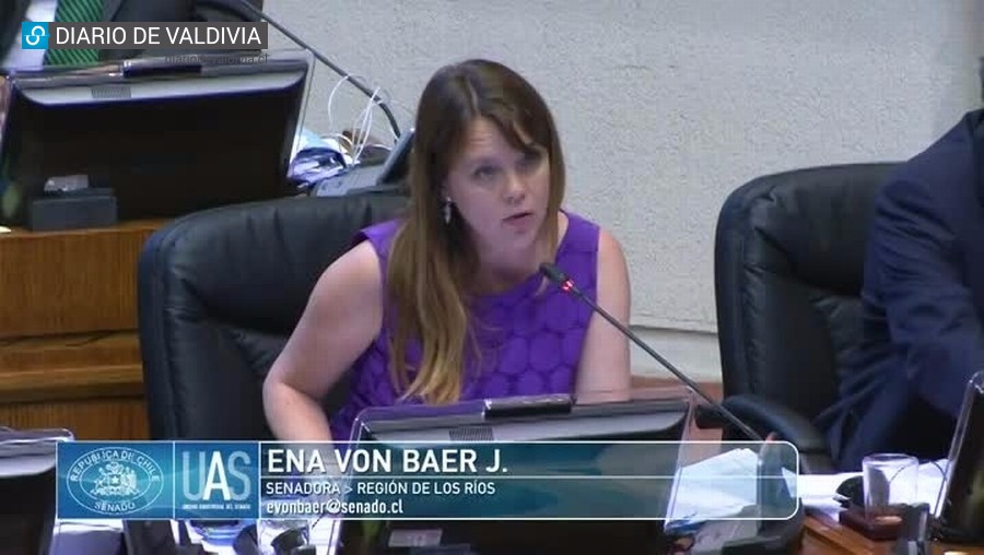 La senadora Von Baer dijo que "Fórmula de gratuidad del Gobierno es discriminatoria"