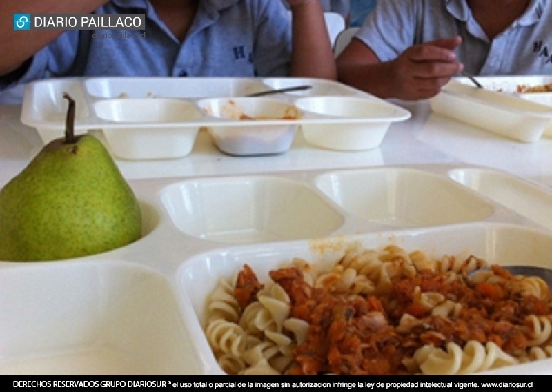 Junaeb denunció a empresa Ibasa por mantener 1.500 kilos de carne y verduras en mal estado que serían distribuidas a colegios de Los Ríos