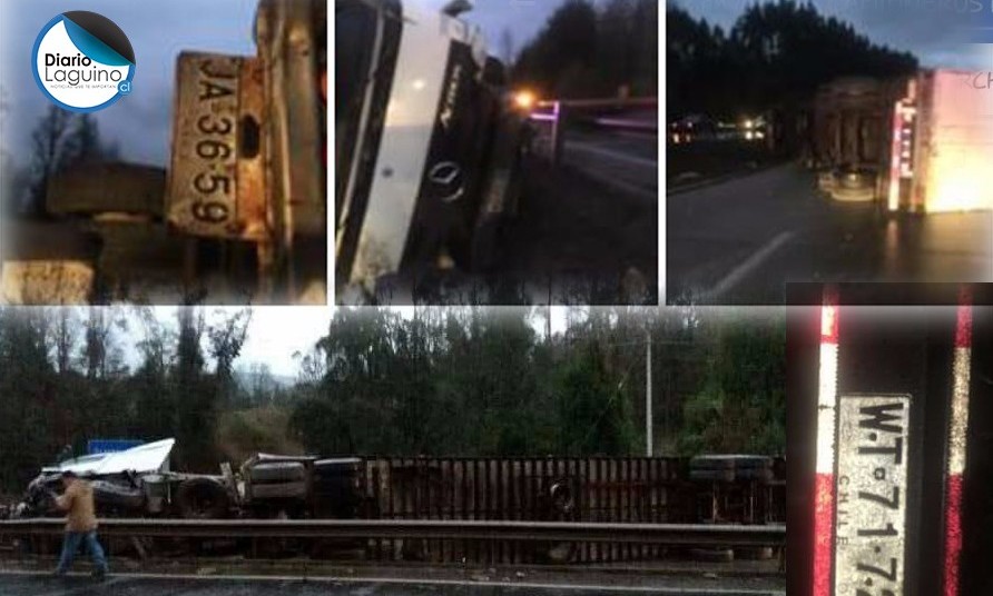 Identifican a camionero fallecido en Ruta 5, entre Los Lagos y Paillaco