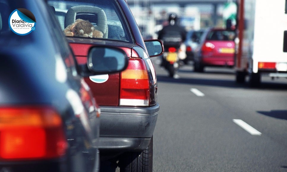 Seguridad en la ruta: los pasos para evitar distracciones al conducir