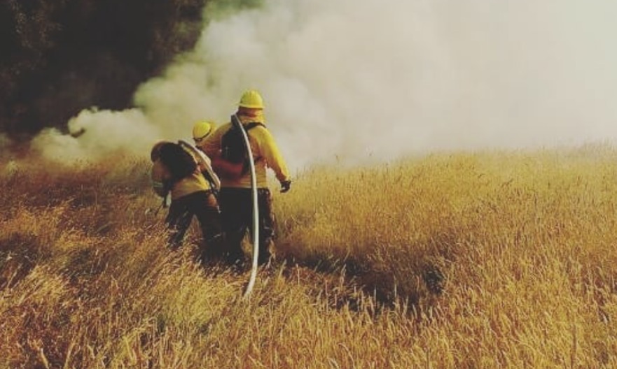 Declaran alerta temprana preventiva para la región de Los Ríos por altas temperaturas