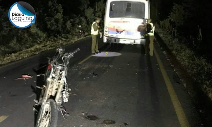 Los Lagos:  Motociclista muere al impactar a un bus interurbano en Riñihue 
