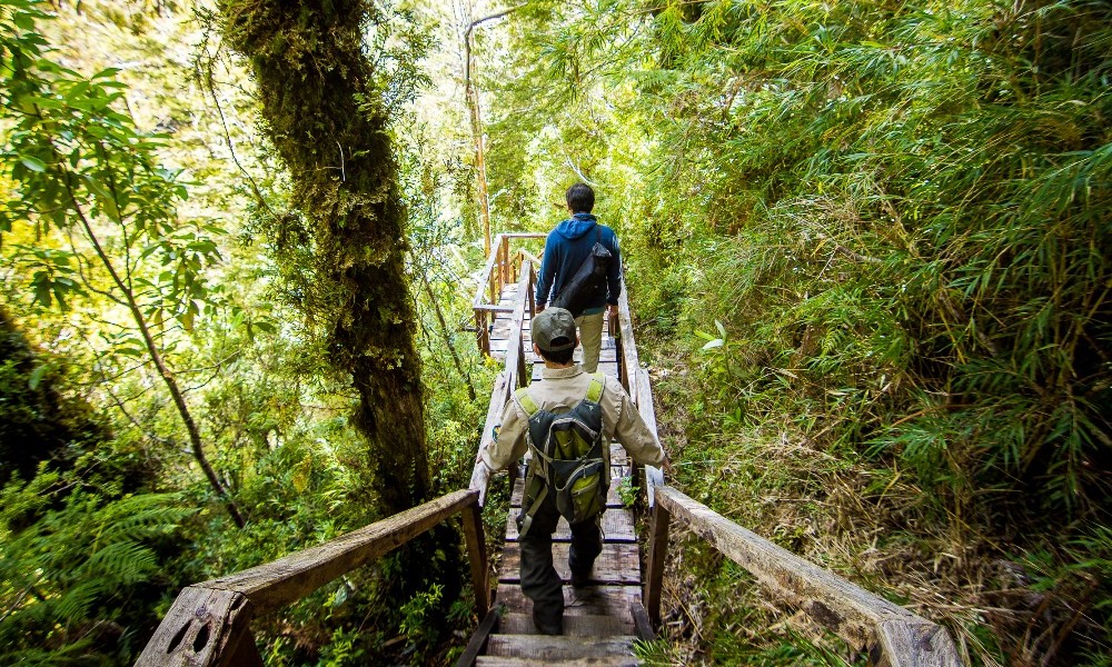 Parque Nacional Alerce Costero mejora sus servicios con construcción y mejoramiento de infraestructura turística