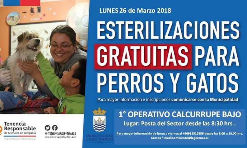 Este lunes operativo gratuito de esterilización de mascotas en Calcurrupe