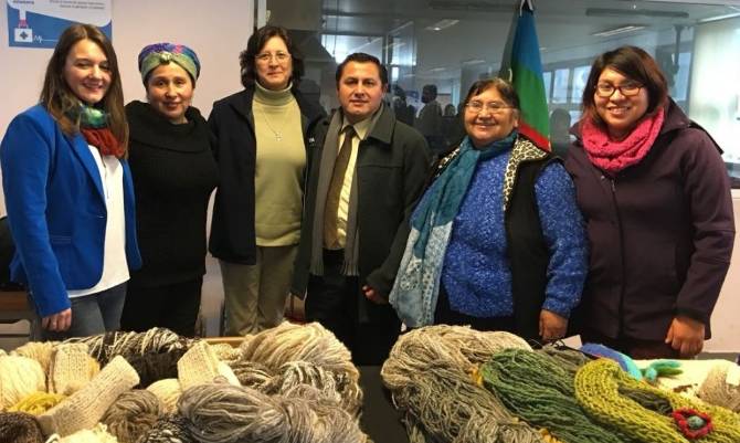 Más de 200 agricultores del Programa de Desarrollo Territorial Indígena mejoran su agricultura en La Unión