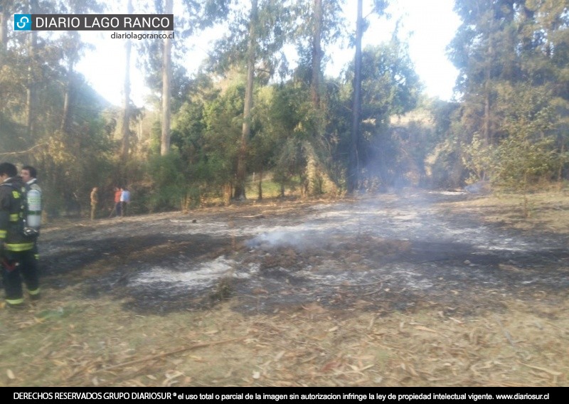 Bomberos de Riñinahue y Llifén evitaron que incendio forestal afectara a vivienda en Calcurrupe