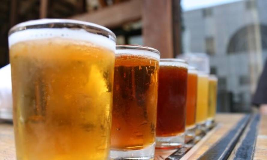 [Verano 2019] Conoce la cerveza paillaquina que está dando que hablar en todo el sur de Chile