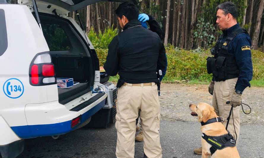 PDI incautó droga que pretendían ingresar a la región en bus proveniente de Santiago