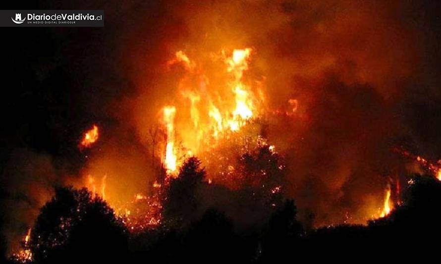 [CORTES DE LUZ] Bomberos de la región atentos por altas temperaturas