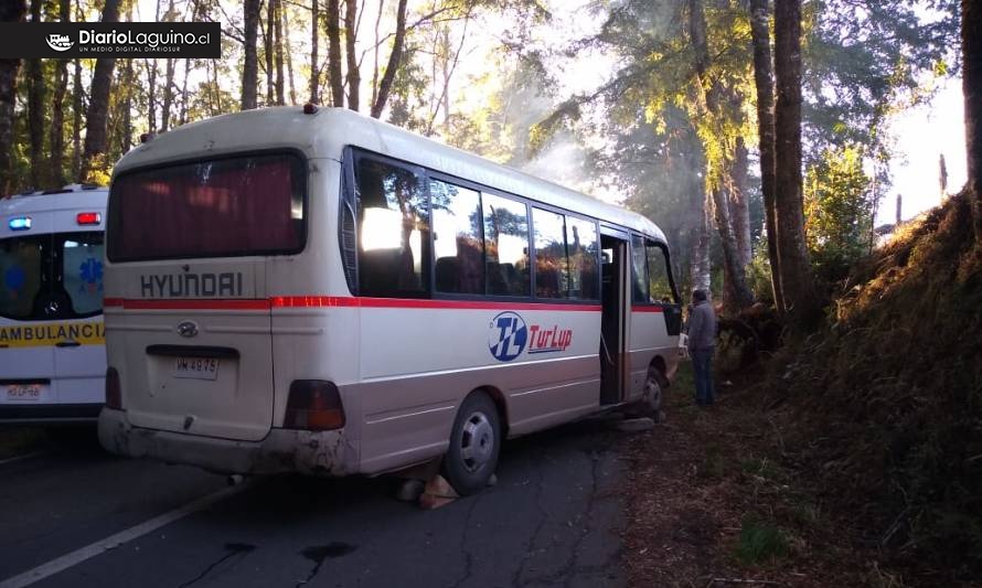 Los Lagos: Bus que transportaba trabajadores a Coique chocó con un árbol