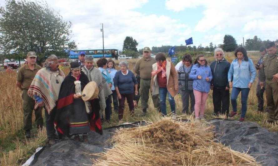 No todo es conflicto: Carabineros participaron de tradicional actividad mapuche