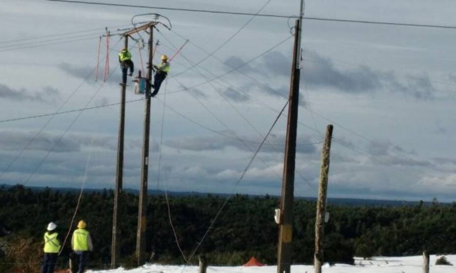 Saesa anunció plan de reforzamiento para prevenir cortes de suministro en invierno