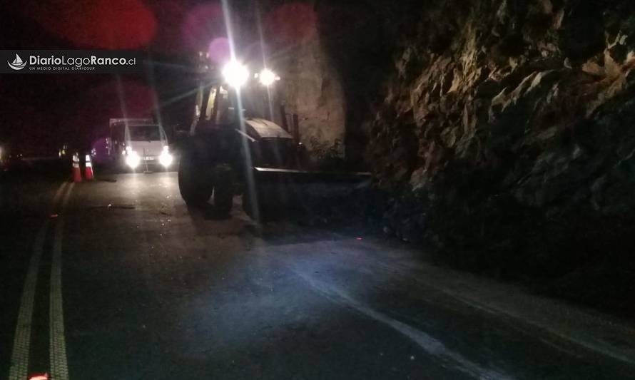 Vialidad despejó ruta tras derrumbe de rocas en Lago Ranco