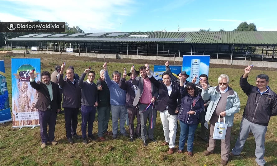 Planta lechera de Máfil inauguró sistema de generación solar fotovoltaico implementado por Enerpa, empresa del Grupo Socoepa