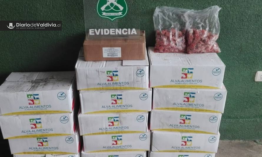 Carabineros decomisó 150 kilos de carne en control carretero en Ruta 5