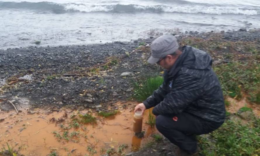 Descartan contaminación por aguas servidas en ribera del lago Ranco