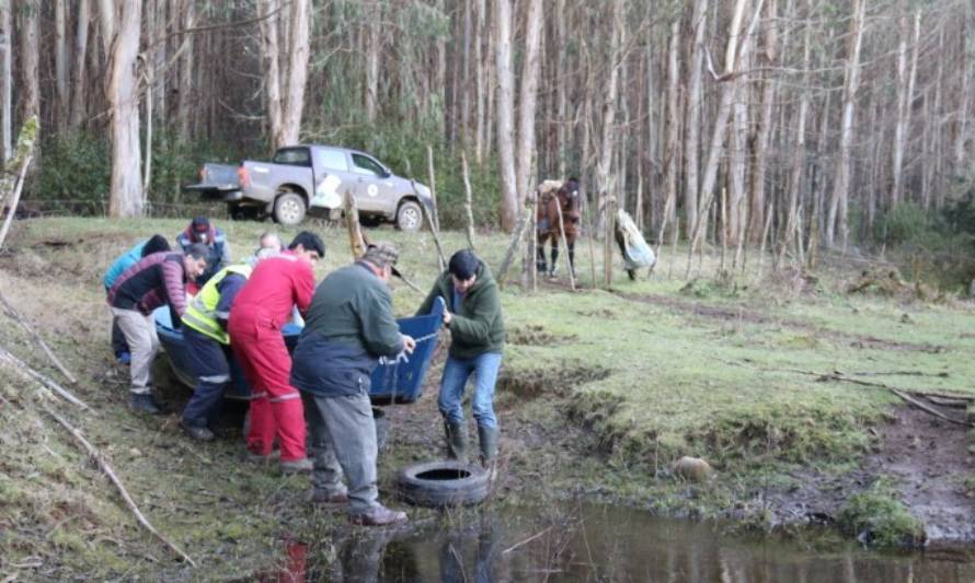 Alcaldes de Paillaco y La Unión se unen para sacar del aislamiento a familia campesina