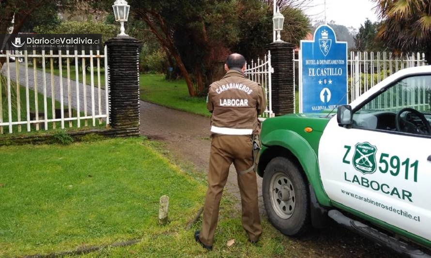 Robo afectó al hotel El Castillo de Niebla 