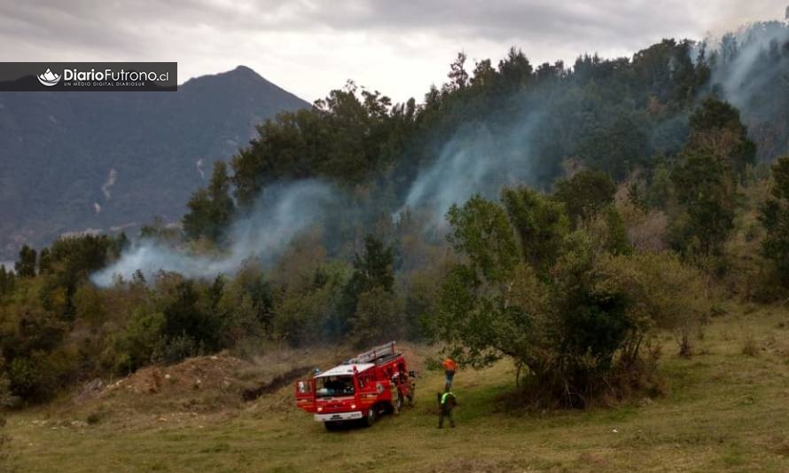 Lago Ranco: Incendio forestal en Ensenada
