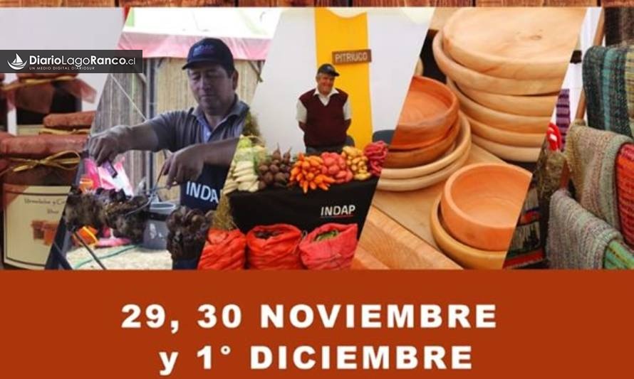 Este fin de semana vuelve la feria de sabores y aromas a Lago Ranco

