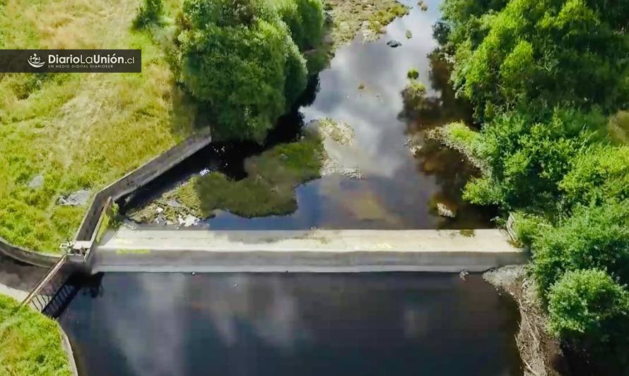 Denuncian daño ambiental tras construcción de central de paso en Río Bueno