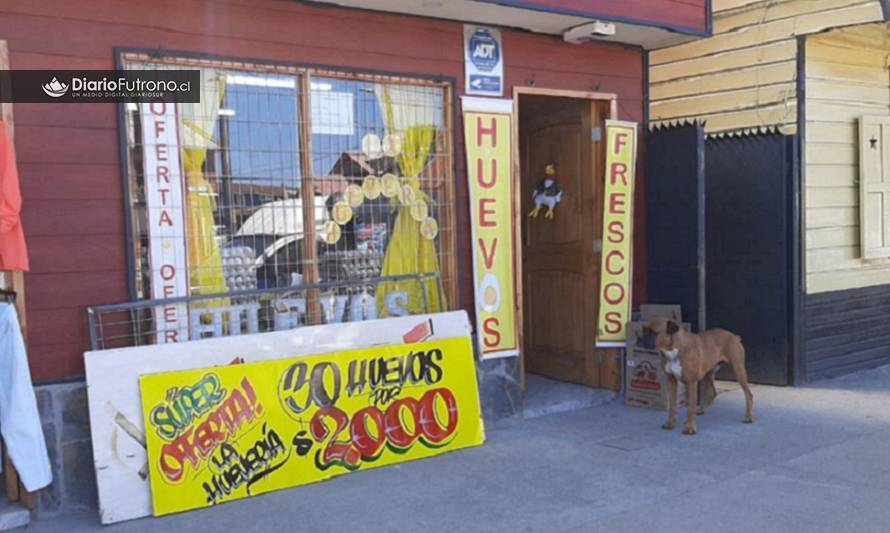 Delincuentes robaron en local comercial de Futrono