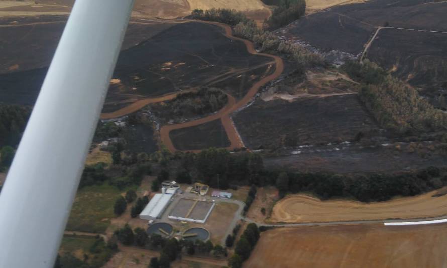 Controlan incendios forestales en región de Los Ríos: Alerta Amarilla en Mariquina fue cancelada