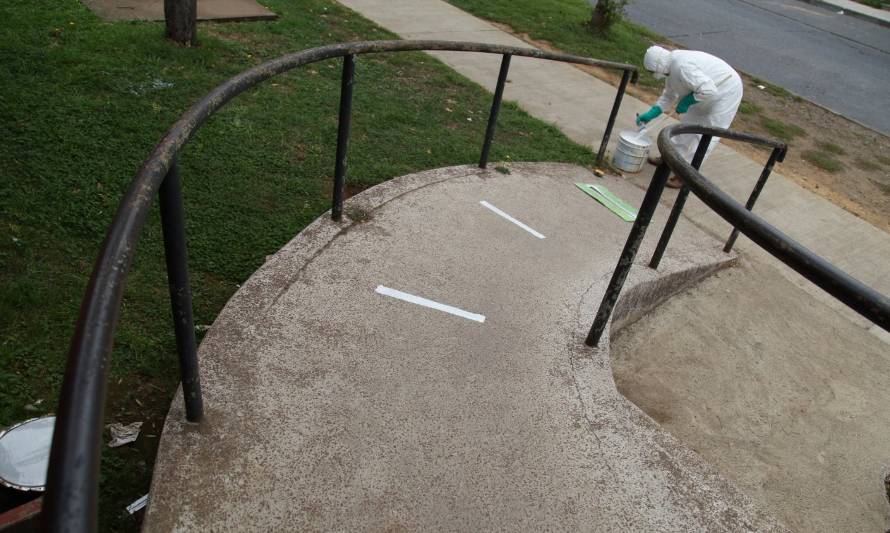 Río Bueno refuerza medidas de prevención con pintado de veredas y control sanitario en Trafún