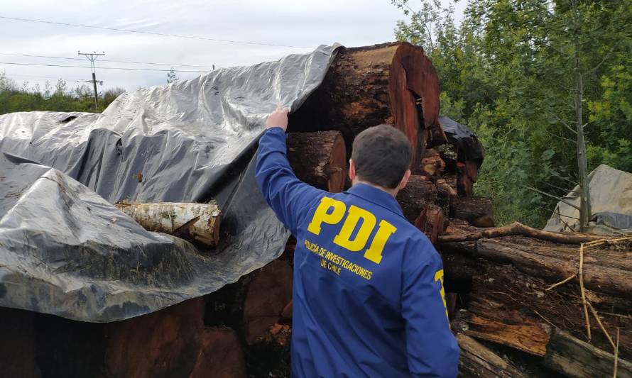 Bidema recuperó 90 metros cúbicos de leña nativa robados del Aeropuerto 