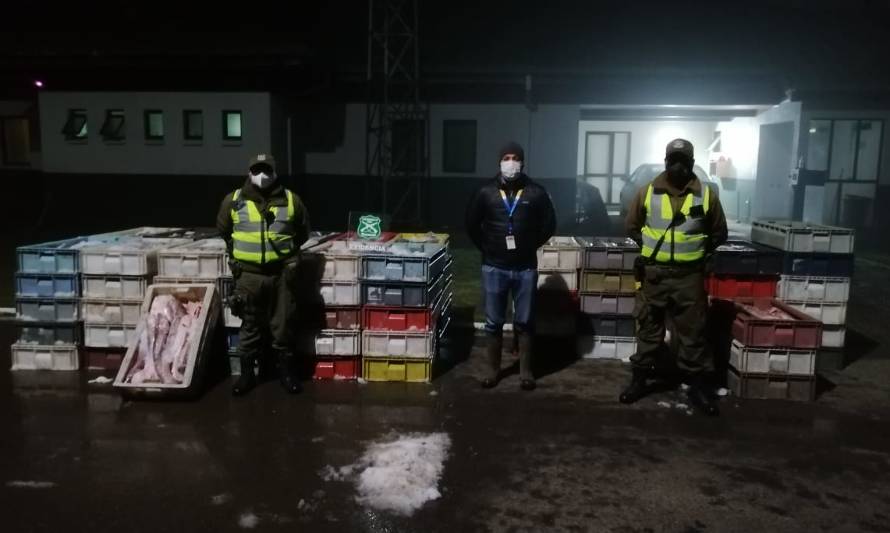 Carabineros decomisó 56 cajas de pescado sin resolución sanitaria