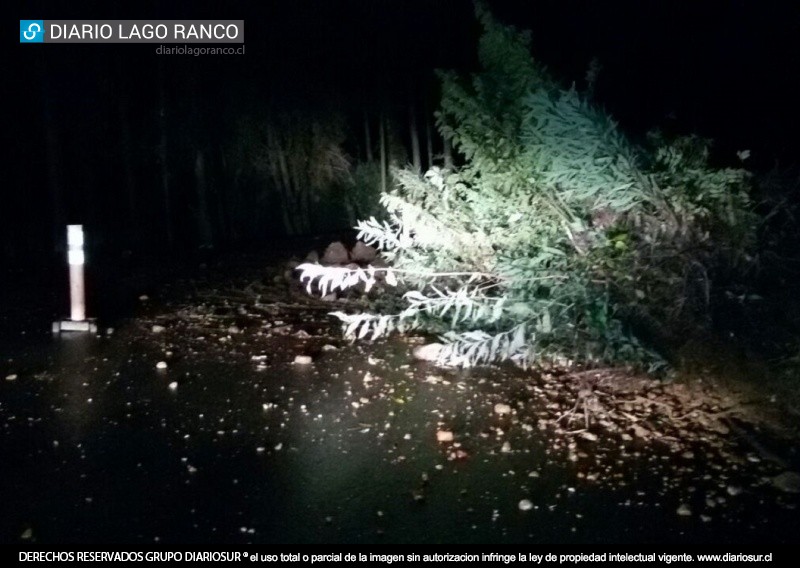 Desprendimiento de material pone en peligro a conductores en ruta que une Lago Ranco con Riñinahue