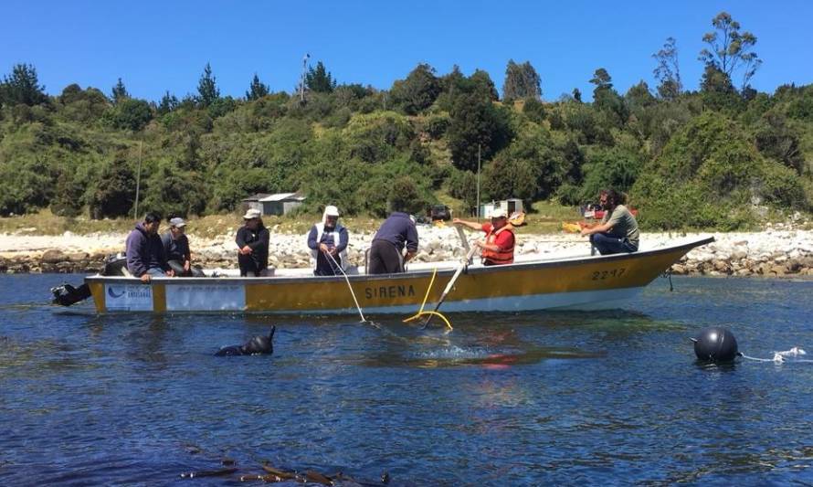 Pescadores y acuicultores artesanales comparten sus experiencias en seminario virtual