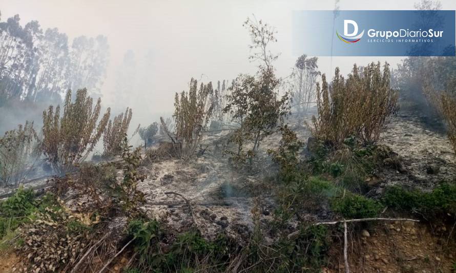 Incendio forestal en Río Bueno