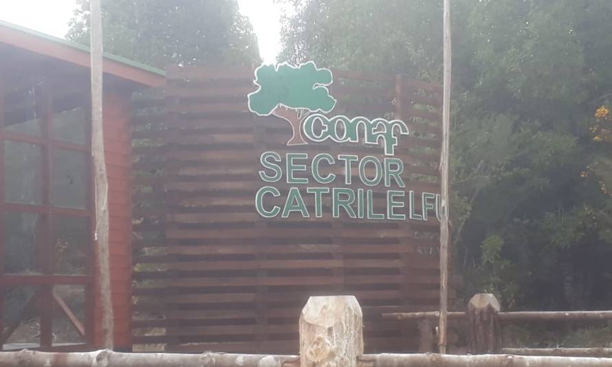 Cierran accesos a parque Alerce Costero por comuna de Corral