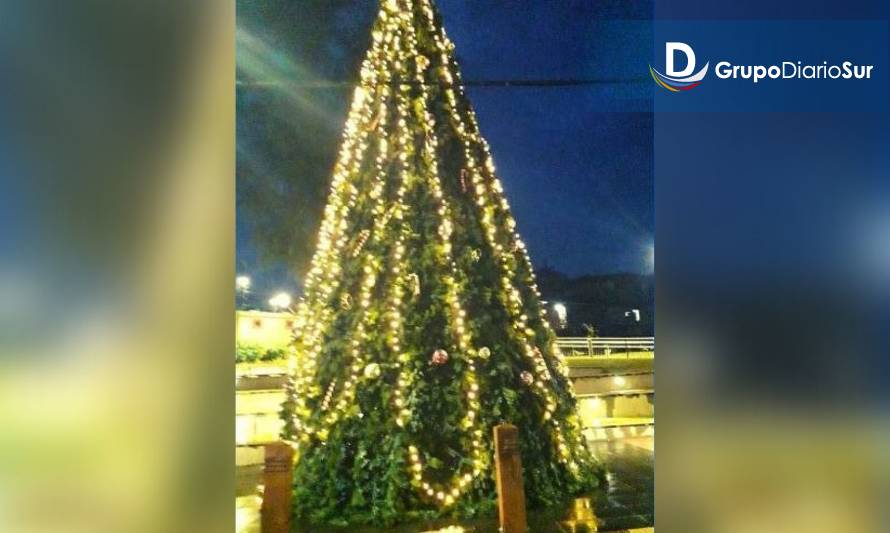 Lago Ranco: Contraloría notificó irregularidades en arriendo de árbol navideño