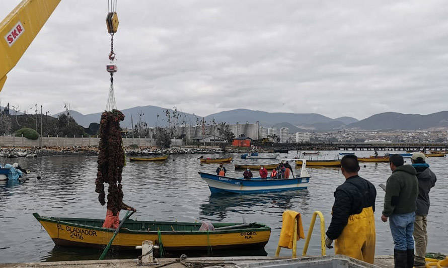 Ejecutivo abre fondo de apoyo para acuicultores de pequeña escala de todo Chile