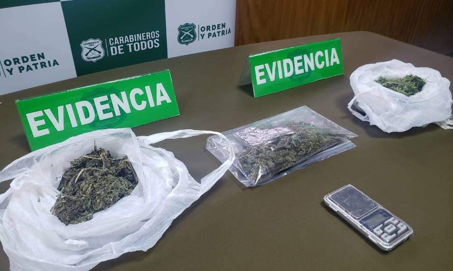 Controles en buses dejaron como saldo 3 detenidos por tráfico de marihuana