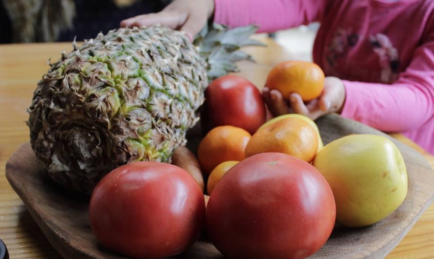 Proyectos del área de alimentos de la UACh obtienen financiamiento