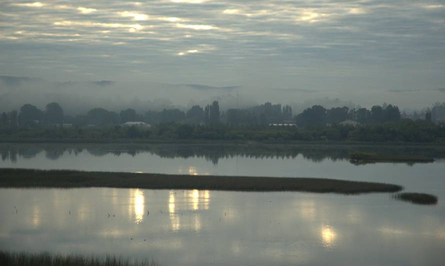 Acogen suspensión condicional de procedimiento por contaminación del río Cruces