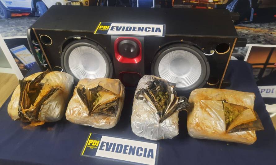 PDI Los Ríos incautó casi 7 kilos de cannabis sativa en un parlante