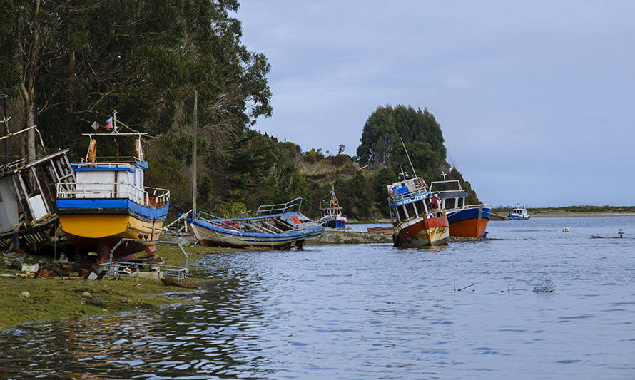Diputados aprueban bono para la pesca artesanal y Gobierno hace reserva de constitucionalidad