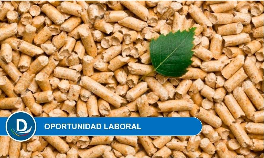 Planta de pellet ubicada entre La Unión y Río Bueno ofrece cupos para operadores y ayudantes