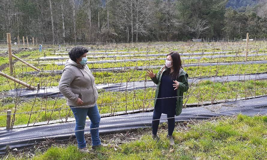 Agricultores de la Provincia del Ranco se capacitan en fertilidad de frutales