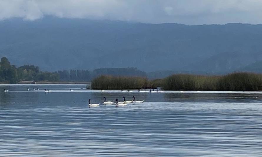 Realizarán 2º Encuentro Nacional de administradores de sitios Ramsar de Chile