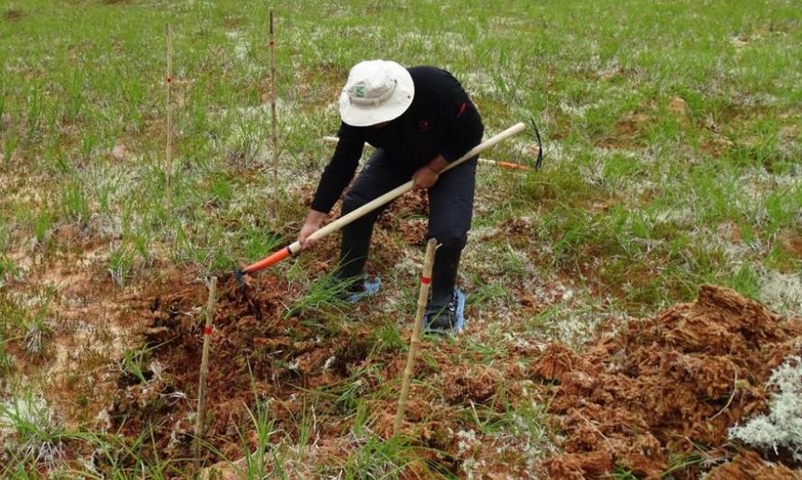 Con webinar sobre biodiversidad finalizó ciclo de seminarios de INIA sobre sustentabilidad y uso eficiente de los recursos naturales