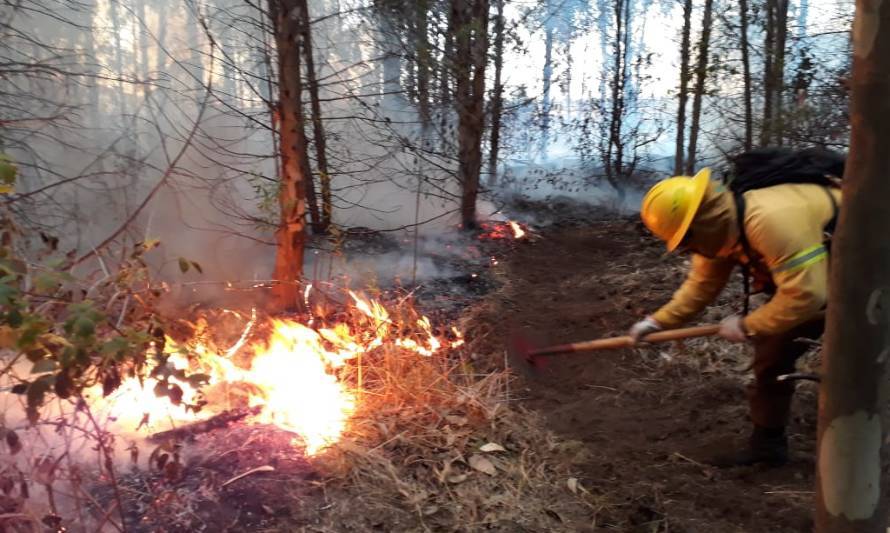 Este jueves en Los  Ríos: CONAF debió combatir distintos incendios forestales