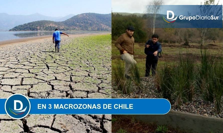 UACh lidera proyecto sobre reutilización de agua a través de humedales depuradores