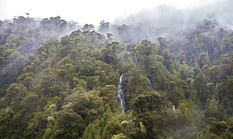 Los Ríos y Los Lagos definen planes de acción regionales para enfrentar el cambio climático